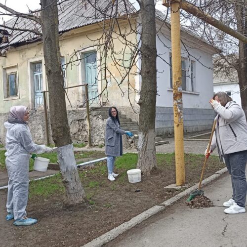 Сотрудники Городской поликлиники №2 города Шахты провели субботник